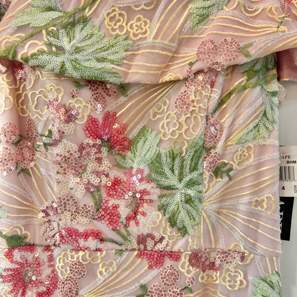 Xscape Blush and Green Floral Maxi Dress - Picture 11 of 13